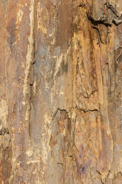 Altın Kahverengi Renklerin Tonları Ile Doğal Kayrak — Stok fotoğraf