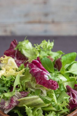 Salata karışımı arka planda kalır. Taze salata desenli roka, mor marul, ıspanak, frizbi ve bahçe yaprağı.