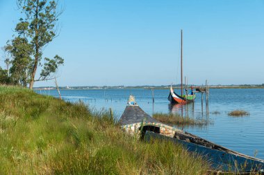 Moliceiro, Portekiz 'in Ria de Aveiro şehrinde dolaşan teknelere verilen isimdir. Bu gemiler başlangıçta molico (tarım için toplanan sualtı bitki örtüsü) koleksiyonu için kullanılmıştır.