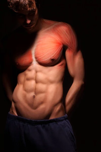 Male Body Anatomy Human Torso Muscle — Stockfoto