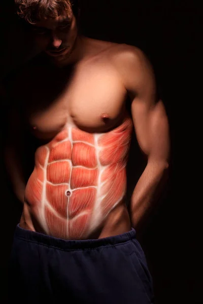 Corpo Masculino Anatomia Músculo Abdominal Humano — Fotografia de Stock