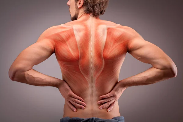 Vue arrière du torse d'athlète homme avec structure musculaire — Photo
