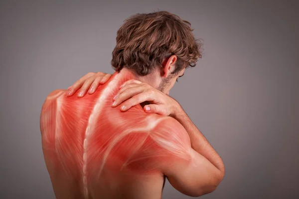 Ilustração da musculatura do atleta costas e ombros — Fotografia de Stock