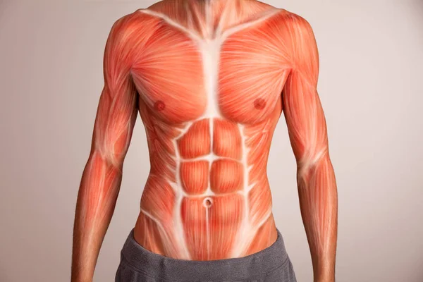 Man torso muscule — Stock Photo, Image