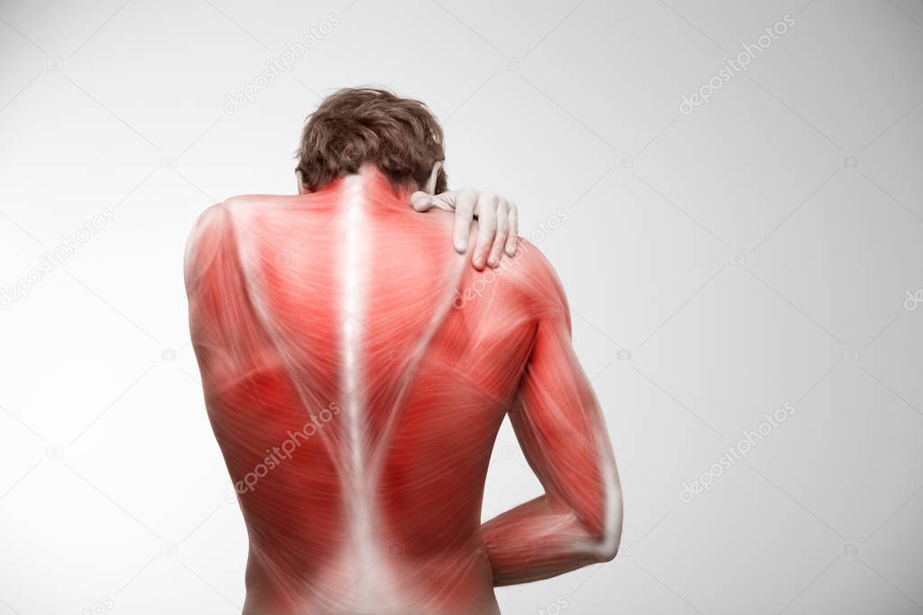 Back musculature illustration pain