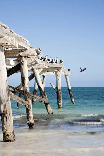 Australia Occidental Eucla Old Jetty — Foto de Stock