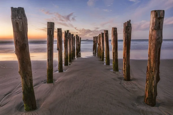 Dunedin vieille jetée St Clair Beach — Photo