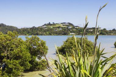 Coromandel Yeni Zelanda