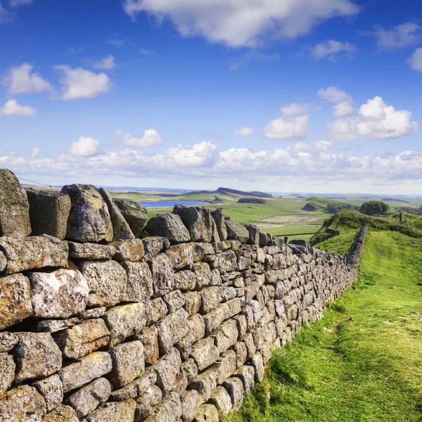 Suché kamenné zdi Northumberland — Stock fotografie