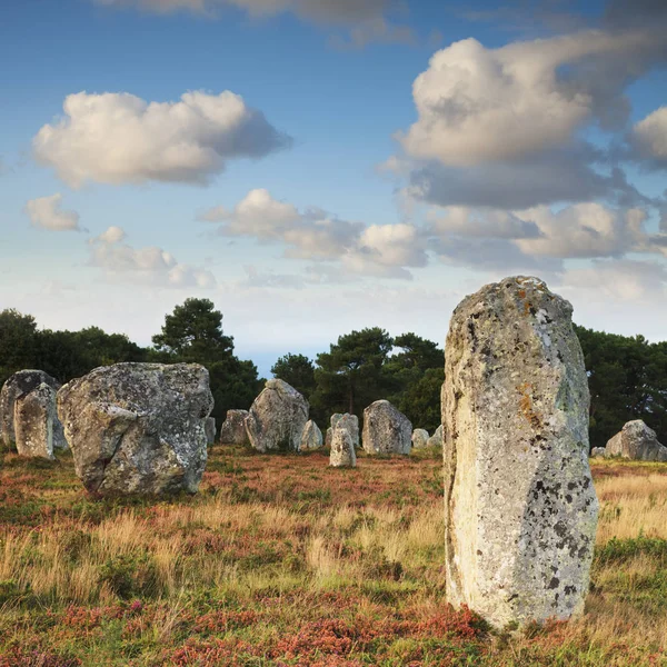 Pedras em pé, Carnac, Bretanha — Fotografia de Stock