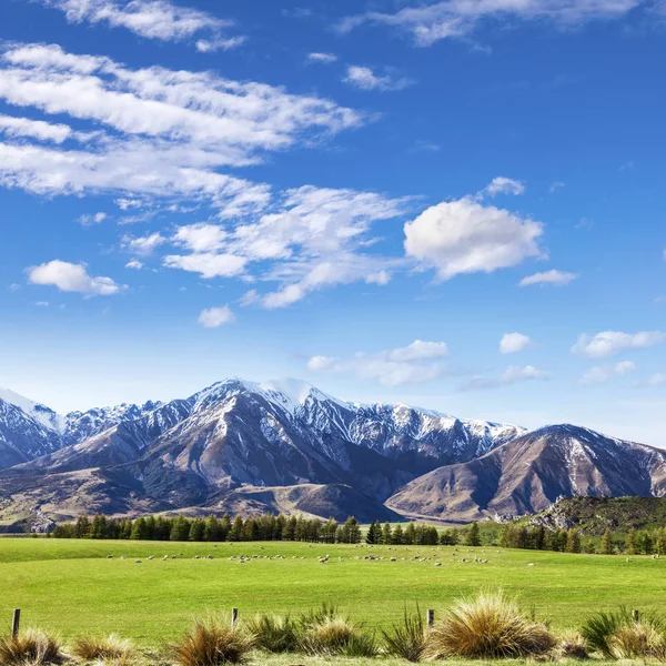 New Zealand High Country — Stock Photo, Image