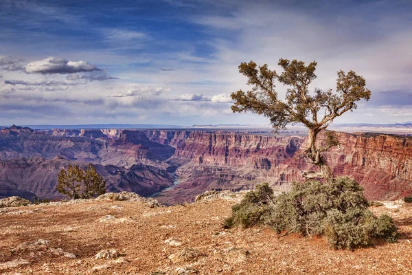 Vista sul deserto del Grand Canyon — Foto Stock