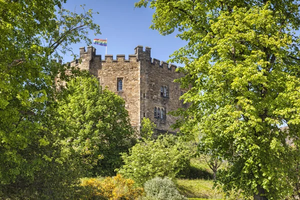Durham Castle Surrounded by Trees