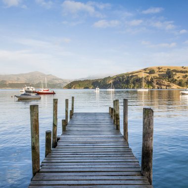 Akaroa Harbour, Yeni Zelanda