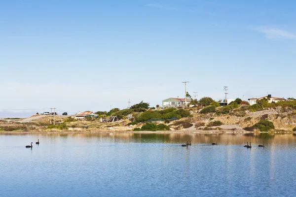 Nova Zelândia Lago Forsyth — Fotografia de Stock