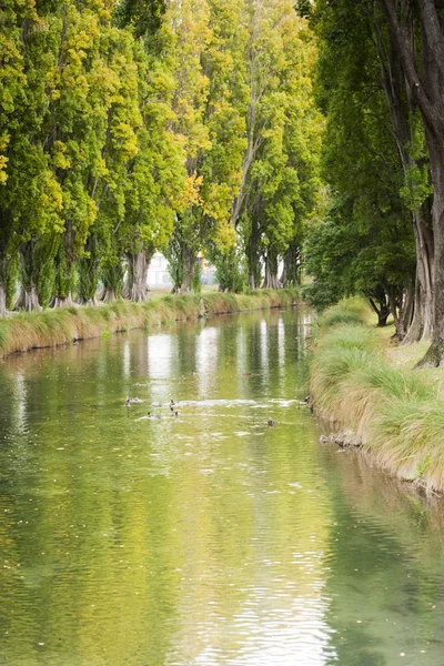 Avon River Christchurch Nueva Zelanda — Foto de Stock