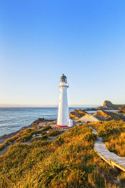 Φάρος Castlepoint Νέα Ζηλανδία — Φωτογραφία Αρχείου