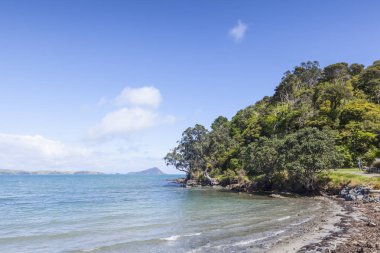 Coromandel Yeni Zelanda