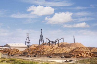 Woodchip Mill Tazmanya