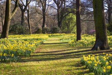 Nergis Hagley Park, Christchurch, Yeni Zelanda