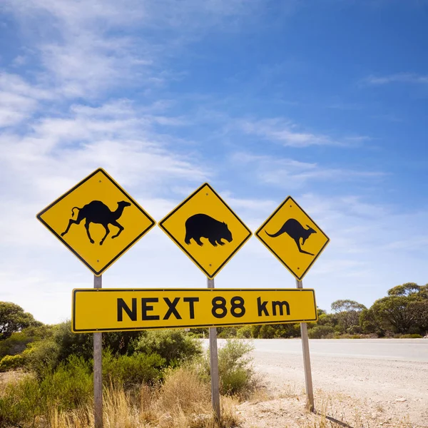 Famous Australian Sign Camels Wombats Kangaroos — Stock Photo, Image