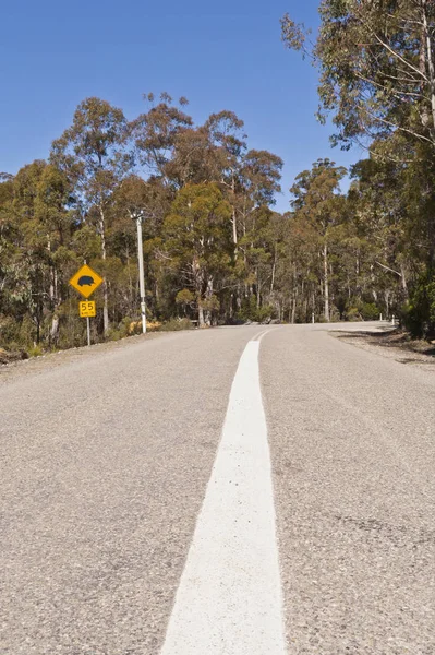 Signo de equidna de Australia Tasmania Forest Road —  Fotos de Stock