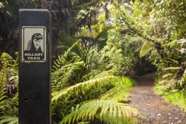 Hillary iz Waitaere aralıkları Auckland Yeni Zelanda