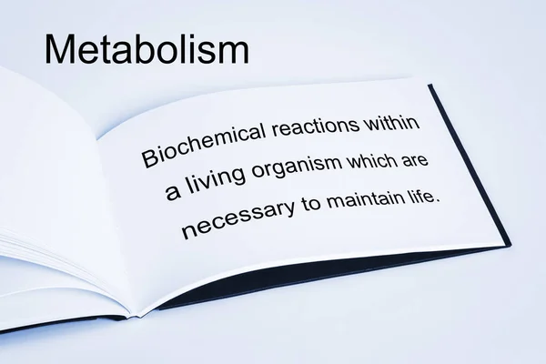 Концепция и определение метаболизма — стоковое фото