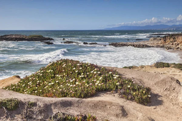 Каліфорнія узбережжя Bean непереконливо держави пляж — стокове фото