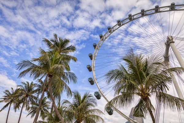 Singapore Flyer e Palms — Fotografia de Stock