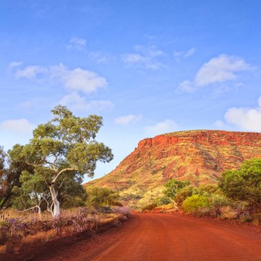 Outback Mount Nameless Western Australia Travel Landscape Square clipart