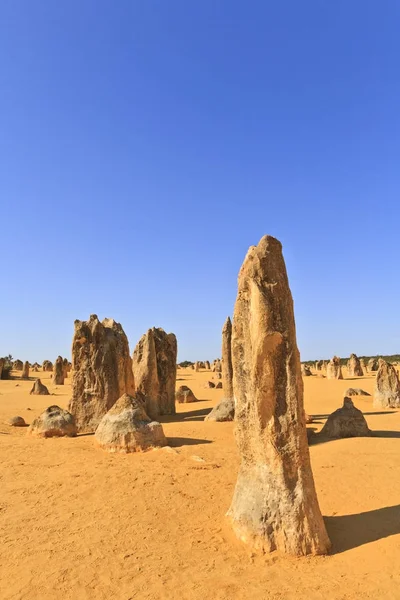 The pinnacles, westaustralien — Stockfoto