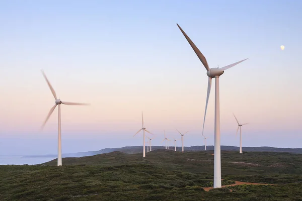 Wind Turbines before Dawn, Albany Wind Farn, Western Australia