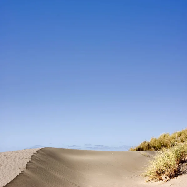 Άμμο αμμόλοφος με γρασίδι και μπλε του ουρανού — Φωτογραφία Αρχείου