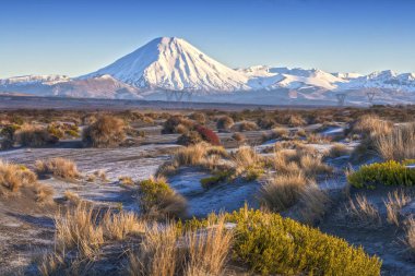 Mount Ngauruhoe Yeni Zelanda