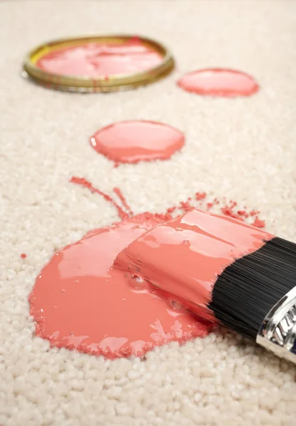 Spilled Paint on Carpet Insurance Claim Accident