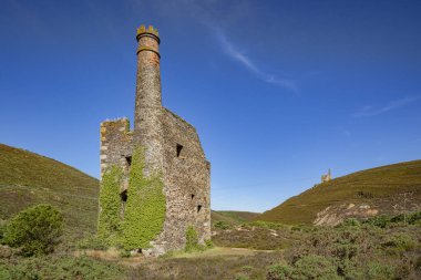 Histaminin Ellen Engine ev