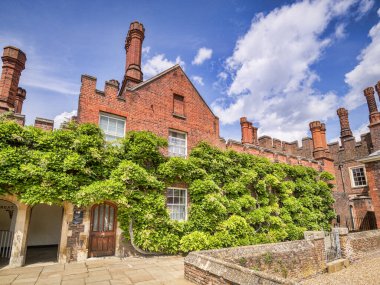 Great Vine, Hampton Sarayı