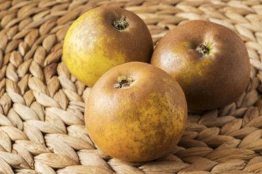 Egremont Russet Elması Muz Yaprağı Mat Üstünde