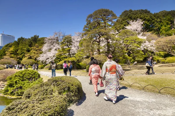 日本东京新宿沟园Kimonos和Cherry Blossom — 图库照片
