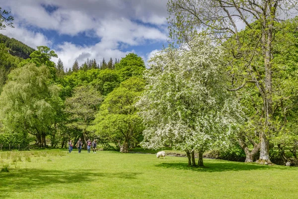 Family Walking in Beautiful Welsh Valley, Powys, Wales, UK — Stock Photo, Image