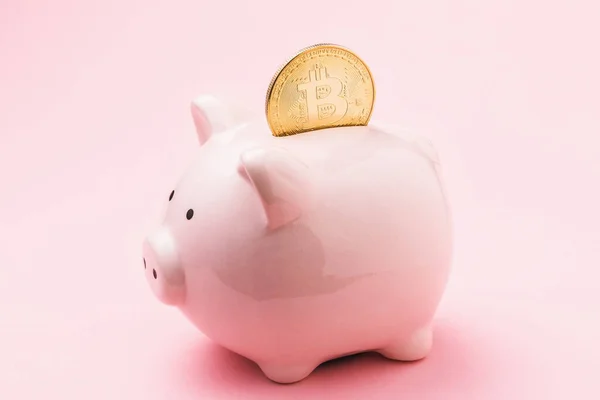 Bitcoin in a piggy bank on a pink background. Concept on the topic of storing money in digital currency