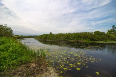 Yaz Ukrayna manzarası: Poltava bölgesindeki Hruli köyü yakınlarındaki Sula nehri