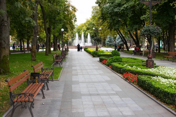 Kremenchuk Ucrania Septiembre 2019 Parque Calle Ihoria Serdiuka — Foto de Stock