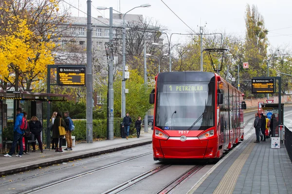 Bratislava Slovakya Kasım 2019 Bratislava Eski Şehir Merkezi Nde Modern — Stok fotoğraf