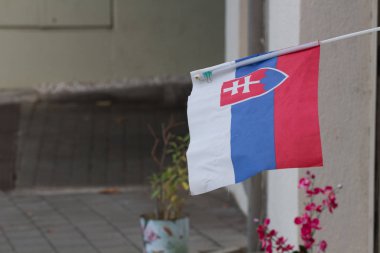Duvarda Slovakya bayrağı