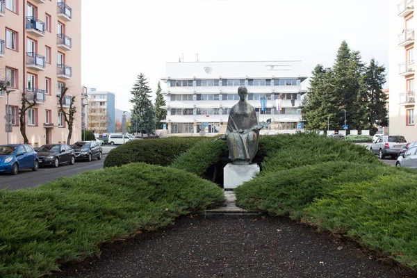 Зволен Словакия Ноября 2019 Года Статуя Зивены — стоковое фото