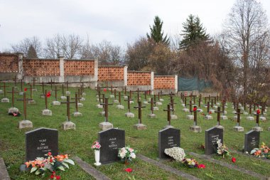 Banska Bystrica, Slovakya - 19 Kasım 2019: 1944 'teki Slovakya Ulusal Ayaklanması sırasında ölen askerlerin mezarları 