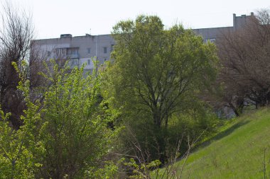 Svitlovodsk, Ukrayna - 28 Nisan 2019: Svitlovodsk Caddesi  