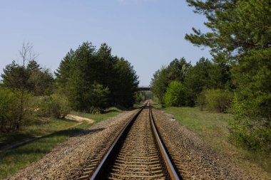 Avrupa 'nın yeşil bahar ormanlarında demiryolu 